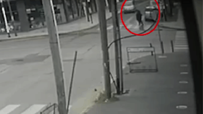 Joven atropellada en Luis Guillón: conductora escapó tras el choque