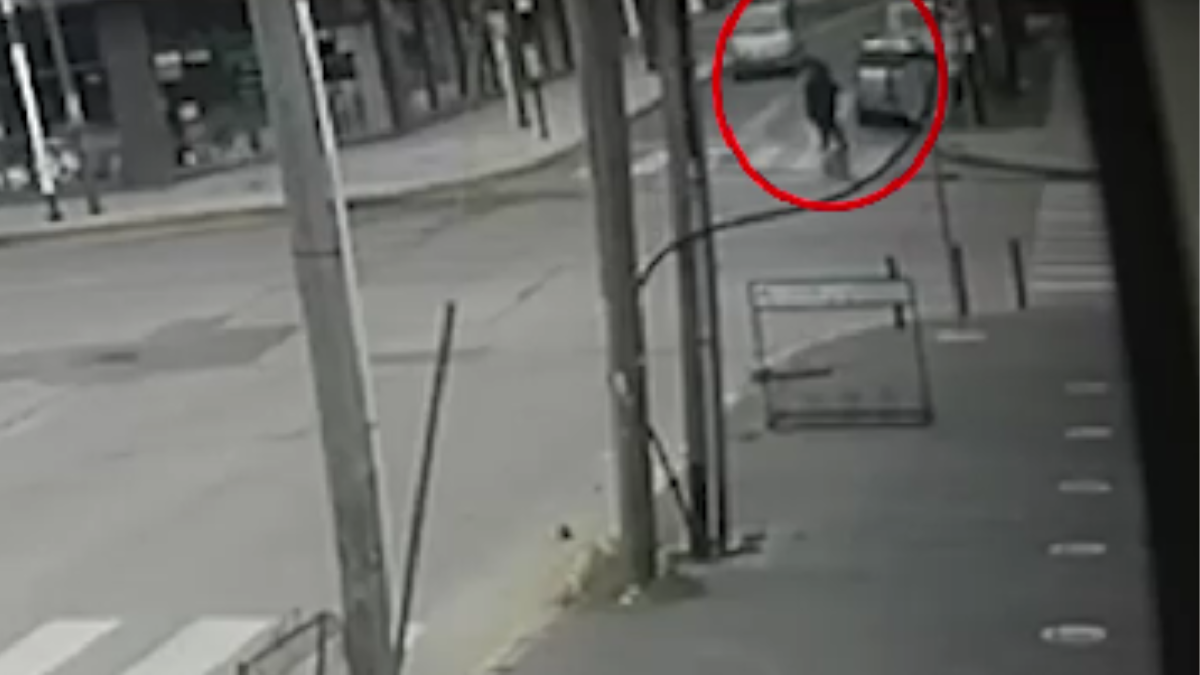 Joven atropellada en Luis Guillón: conductora escapó tras el choque