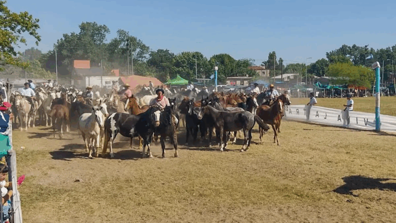 No todo es Halloween: San Vicente celebra el Mes de la Tradición