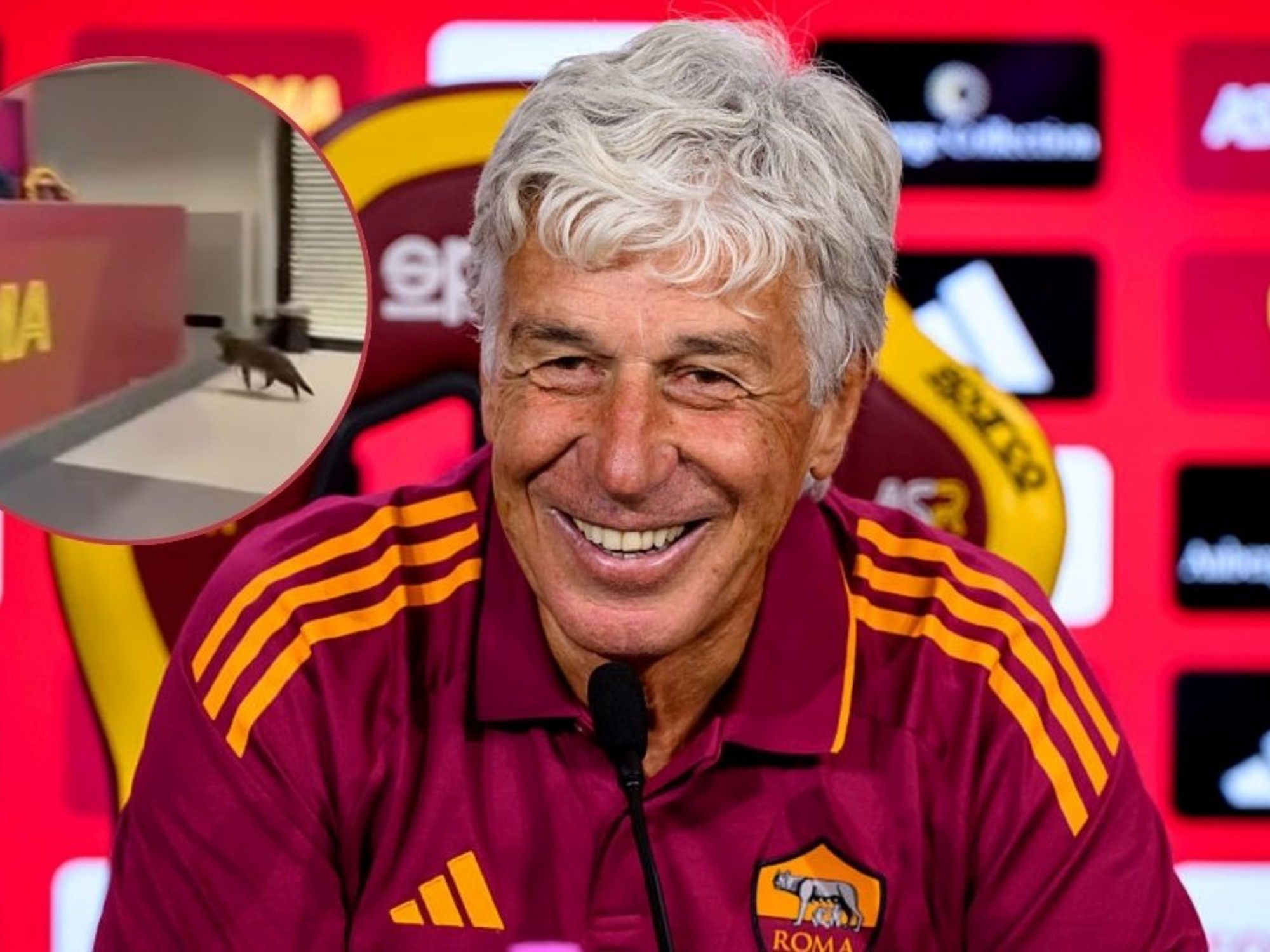 Gasperini en conferencia de prensa: La Loba y el gato provocan risa