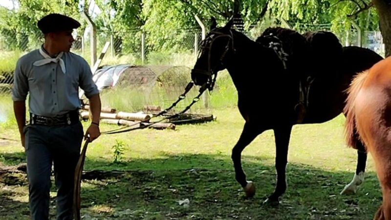 Escuela Agraria N°1 de San Vicente: 40 años en Expo Educativa 2025