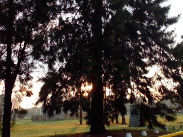 Pronóstico miércoles: cómo estará el tiempo en la zona sur