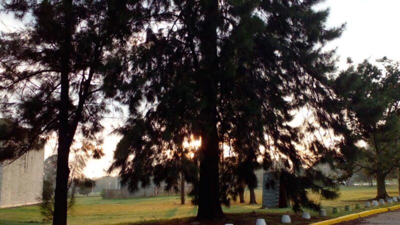 Pronóstico miércoles: cómo estará el tiempo en la zona sur