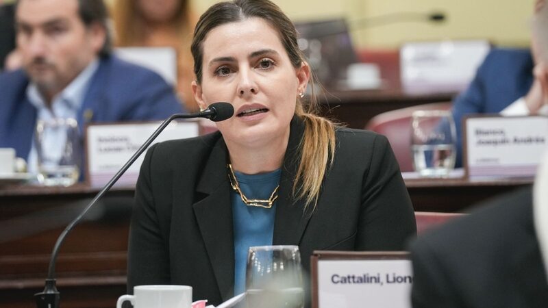 Cattalini pidió celeridad al Consejo de la Magistratura por Salmain