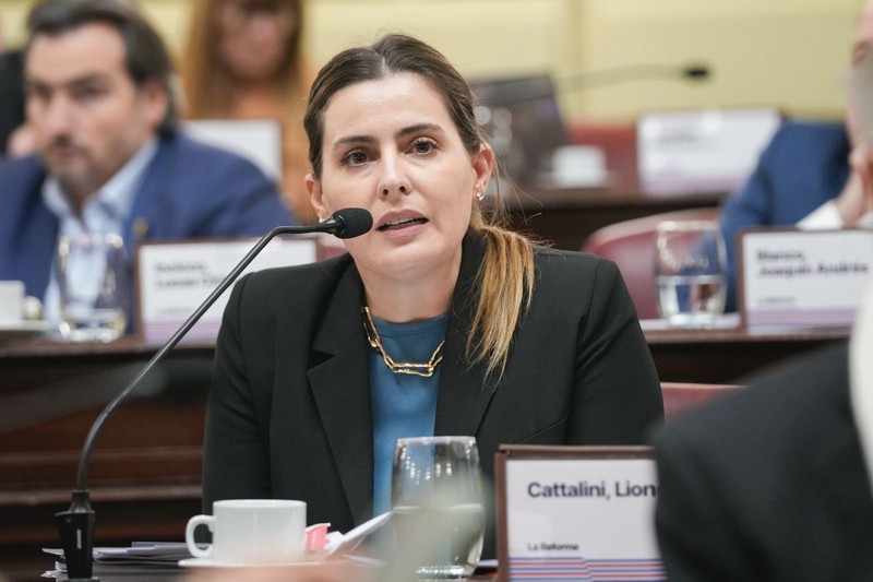 Cattalini pidió celeridad al Consejo de la Magistratura por Salmain