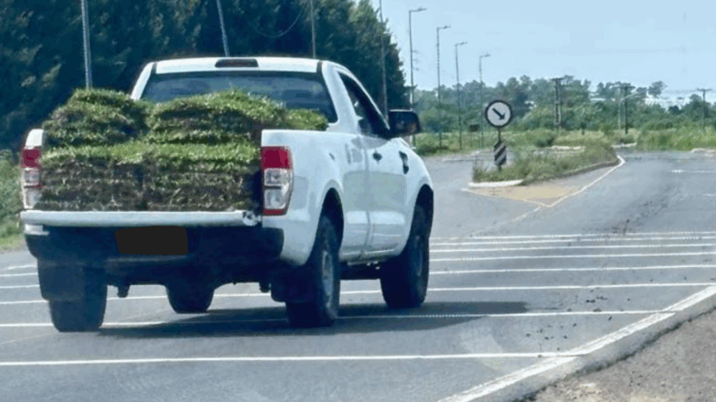 Robo en Canning: vivero acusa camioneta con logo PAMI en Horizontes