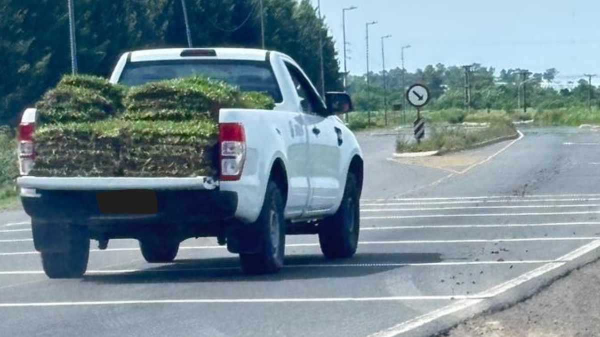 Robo en Canning: vivero acusa camioneta con logo PAMI en Horizontes