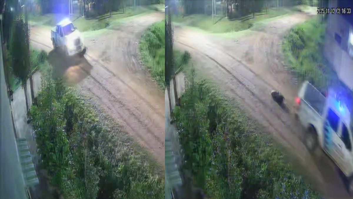 San Vicente: investigan a policías tras móvil que atropelló a un perro