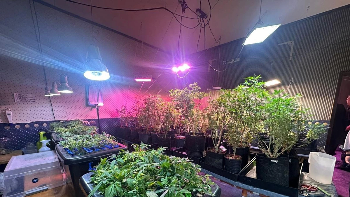 Detienen a 23 narcos que traficaban a metros de una escuela