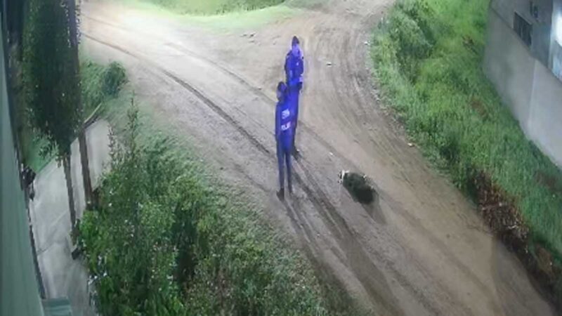 Drama en San Vicente: patrullero mató al perro de una familia