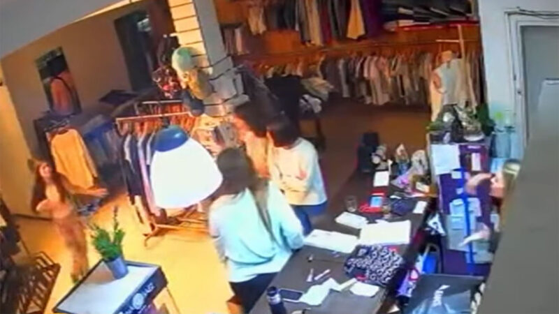 Ataque de pirañas en Llavallol: familia vivió terror frente a su local