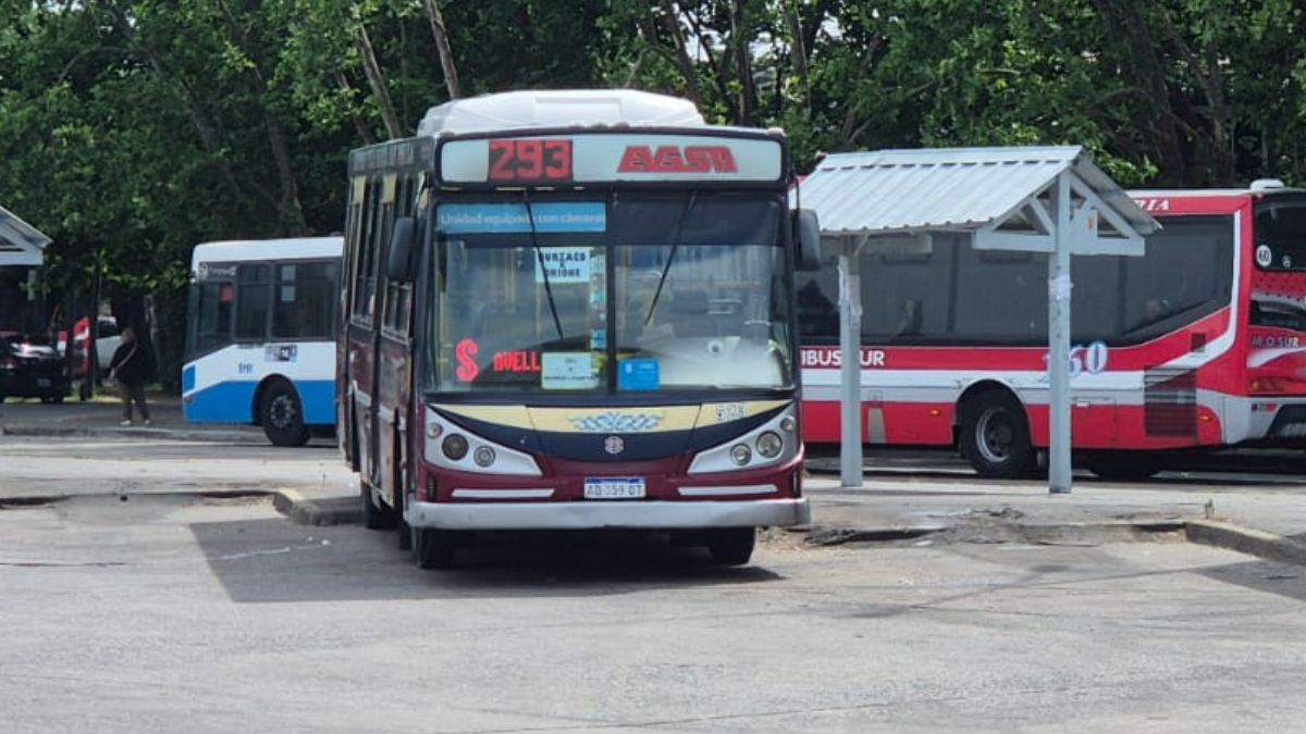 Almirante Brown estrena ramal de colectivo entre Burzaco y Don Orione