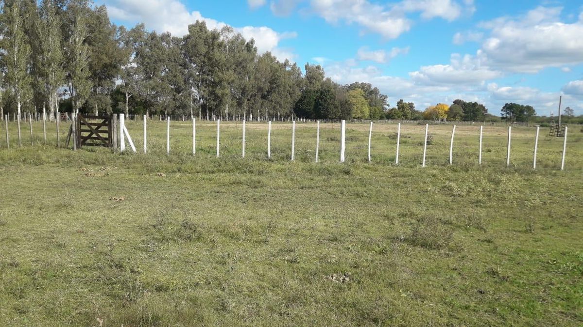 Desfile y fiesta de campo en San Vicente por Día Nacional del Gaucho