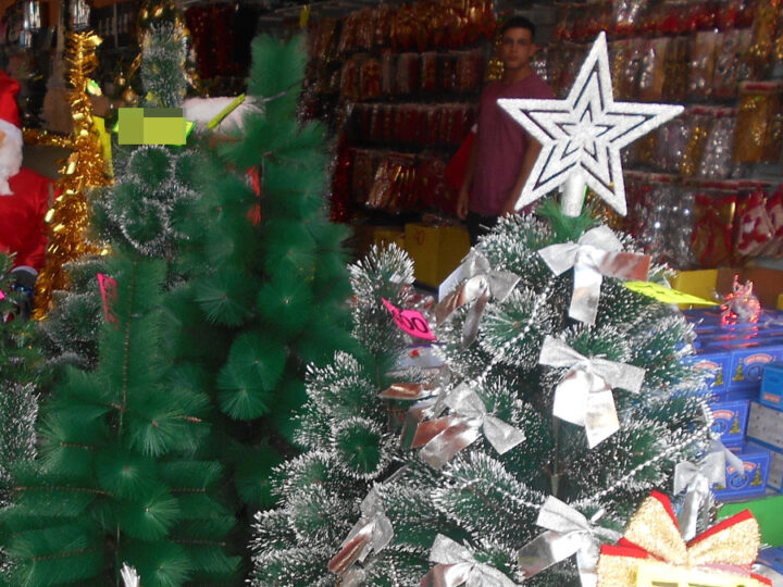 Por qué se arma el arbolito de Navidad el 8 de diciembre: tradición